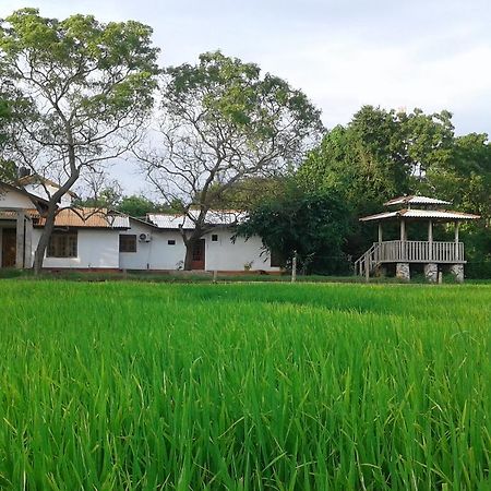 Hotel Willpattu Wild Watch Habawewa Esterno foto