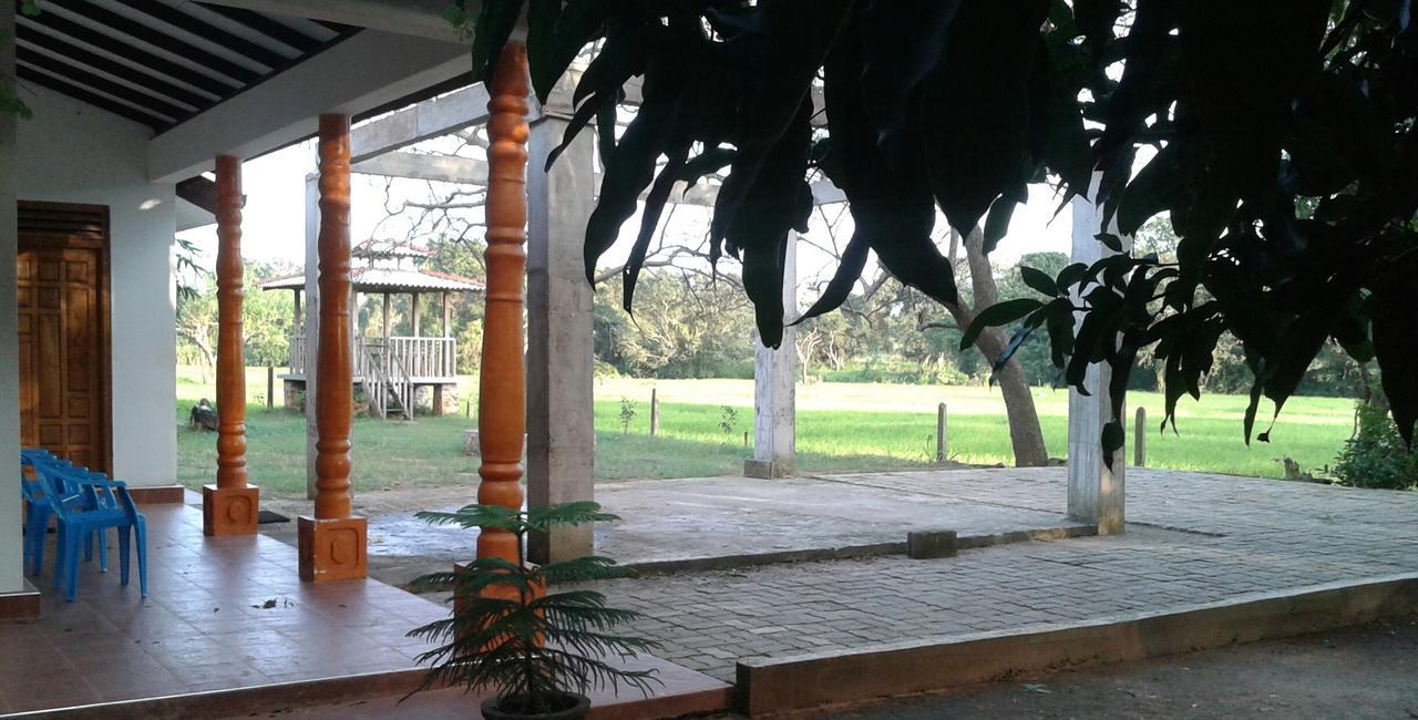 Hotel Willpattu Wild Watch Habawewa Esterno foto