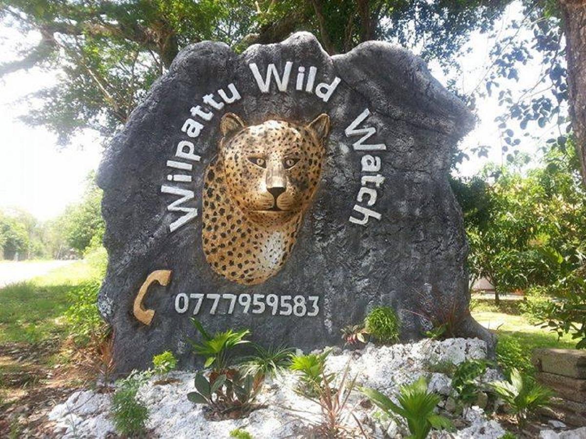 Hotel Willpattu Wild Watch Habawewa Esterno foto