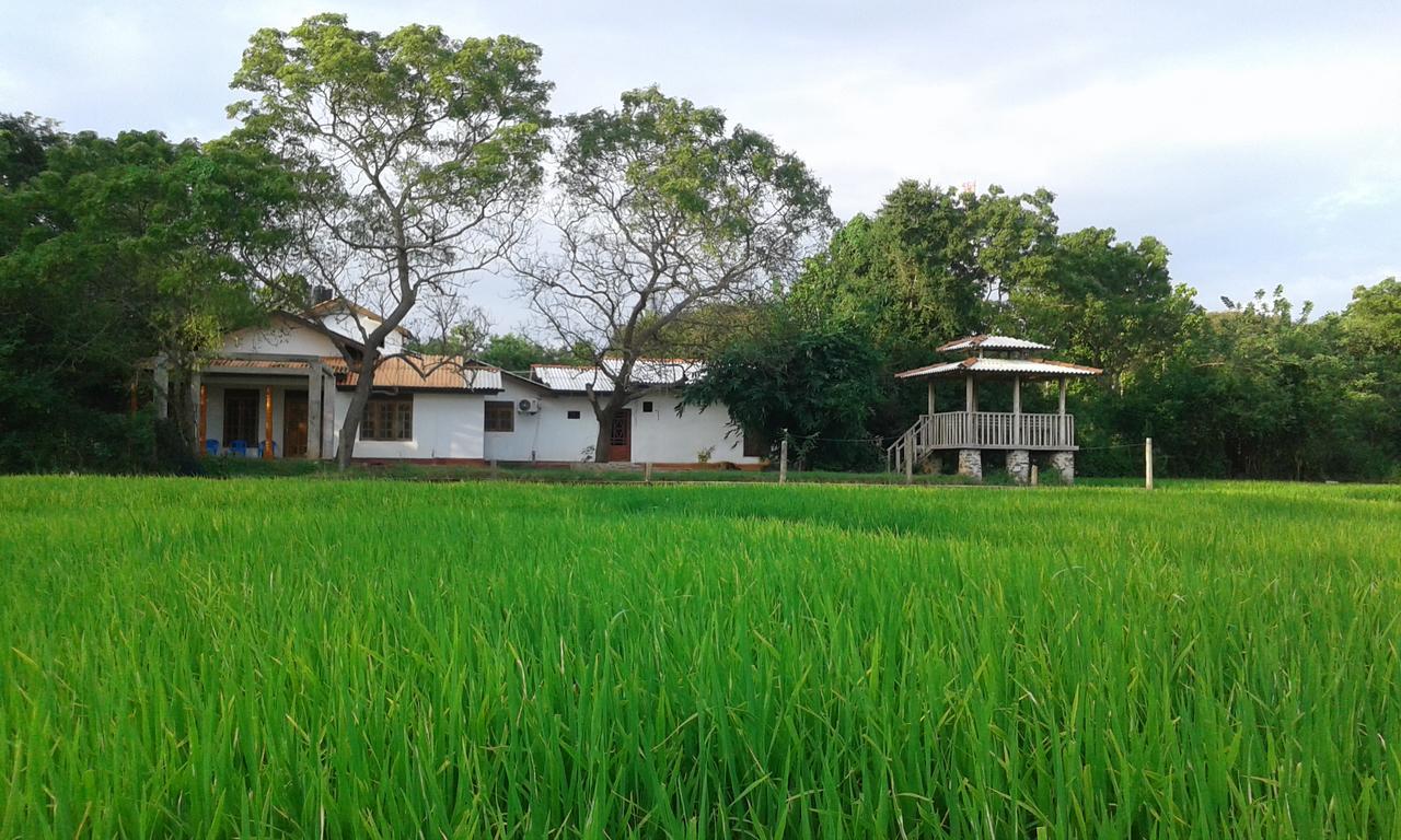 Hotel Willpattu Wild Watch Habawewa Esterno foto