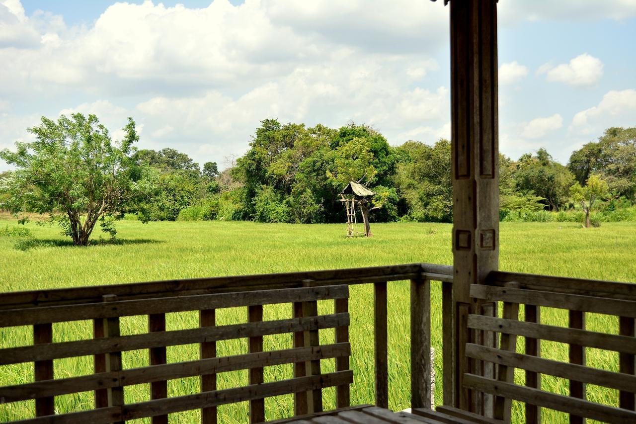 Hotel Willpattu Wild Watch Habawewa Esterno foto