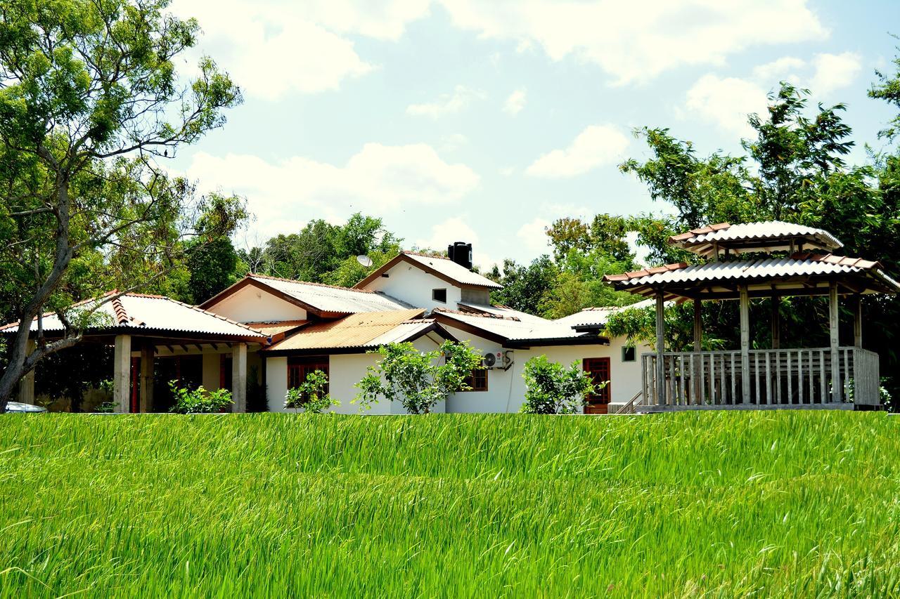 Hotel Willpattu Wild Watch Habawewa Esterno foto